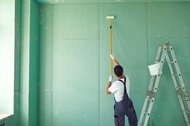 Best Mold Remediation for Healthcare Facilities  in Kodi, AK