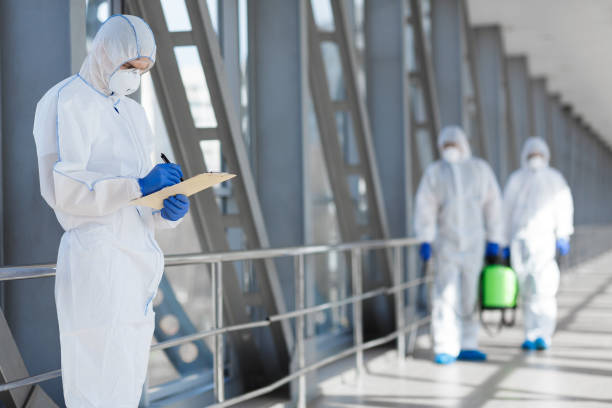 Best Post-Construction Mold Inspection  in Kodi, AK