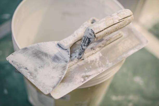 Best Mold Prevention Services  in Kodi, AK